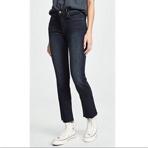 Mother Jeans the Rascal Anole Snippet in Nigh Hawk